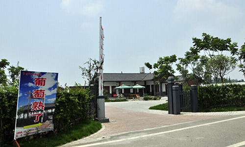 建華葡萄
