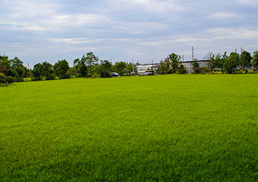 江油市彩虹田生態(tài)農(nóng)業(yè)科技有限公司