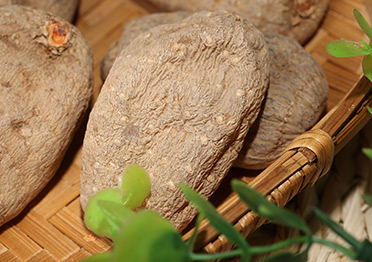 滎經(jīng)縣高山農(nóng)業(yè)科技有限公司