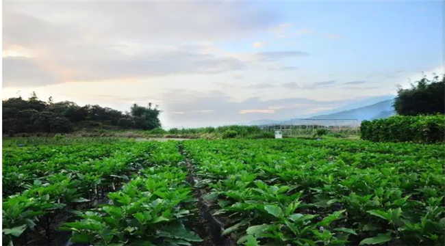 有機產(chǎn)品認證管理辦法之認證證書和認證標(biāo)志