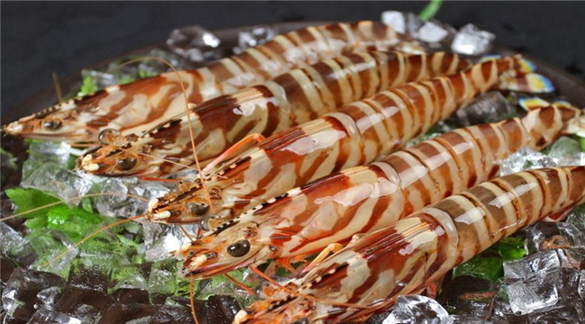 有機產(chǎn)品認證之水產(chǎn)養(yǎng)殖的地址選擇和轉(zhuǎn)換期